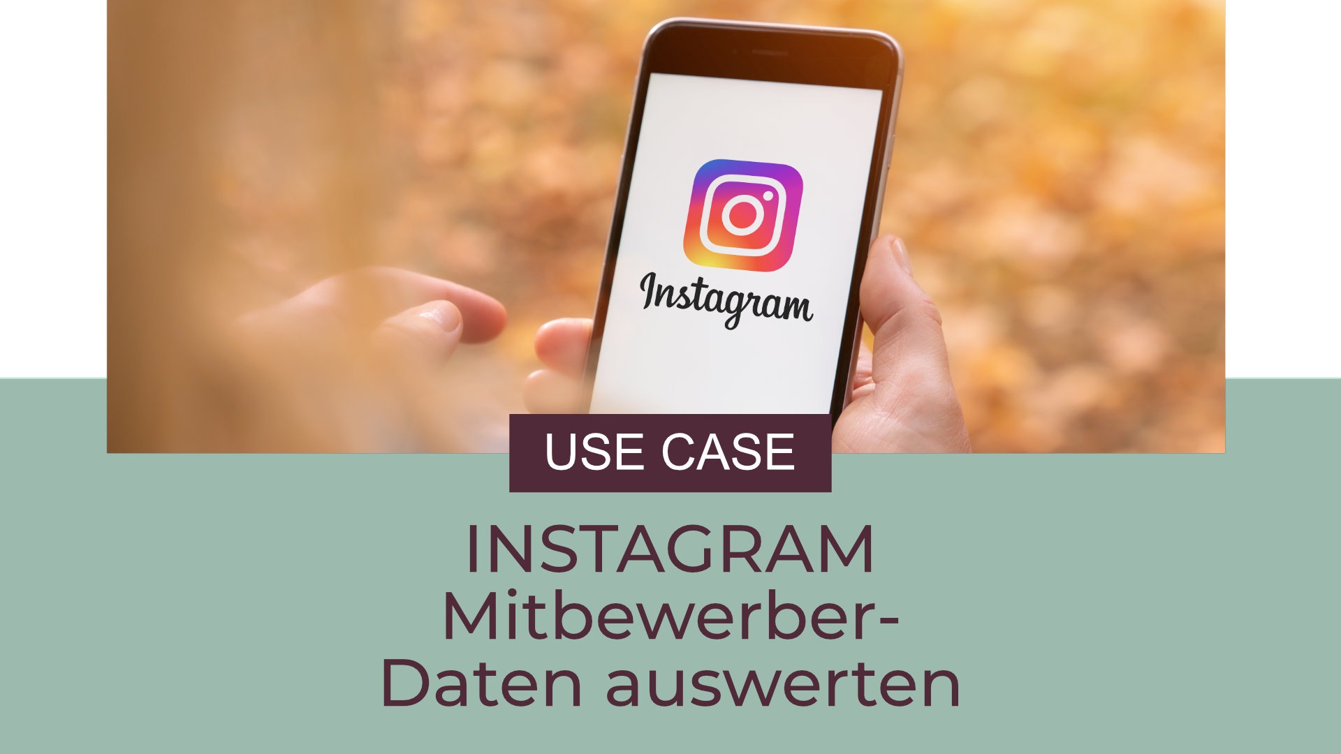 Insights von Mitbewerbern auf Instagram erhalten